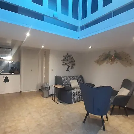 Villa Familiale Climatisée Avec Parking, Proche Et Commerces - Fr-1-782-87 Le Barcarès